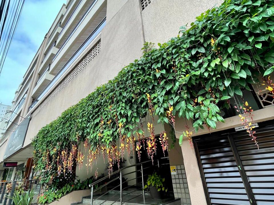 77D21E36-89E3-4533-82DF-22AB880A74E9